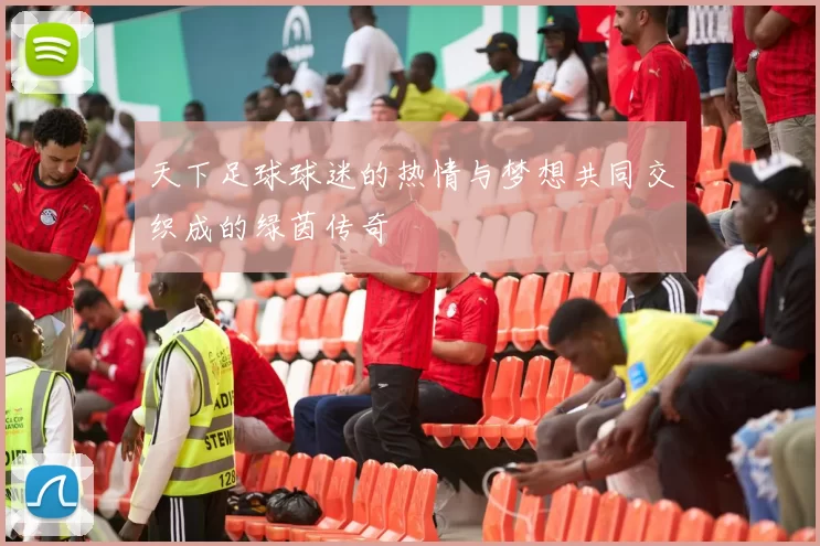 天下足球球迷的热情与梦想共同交织成的绿茵传奇