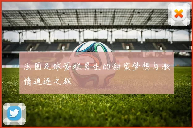 法国足球蛋糕男生的甜蜜梦想与激情追逐之旅