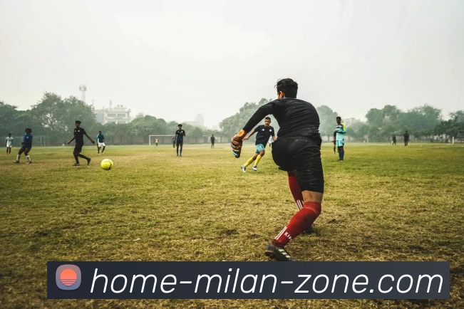 米兰体育平台生态图